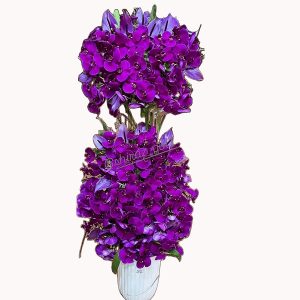 جام‌گل ارکیده