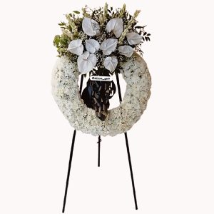 تاج‌گل گرد مه گل