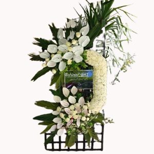 تاج‌گل مشبک  ژورنالی ماهک