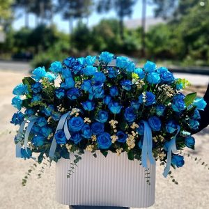 باکس گل رز ابی